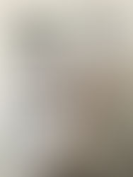 徳島新聞に掲載されました