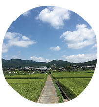 高槻の自然