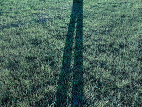 The shadow of a dog never bit anyone!