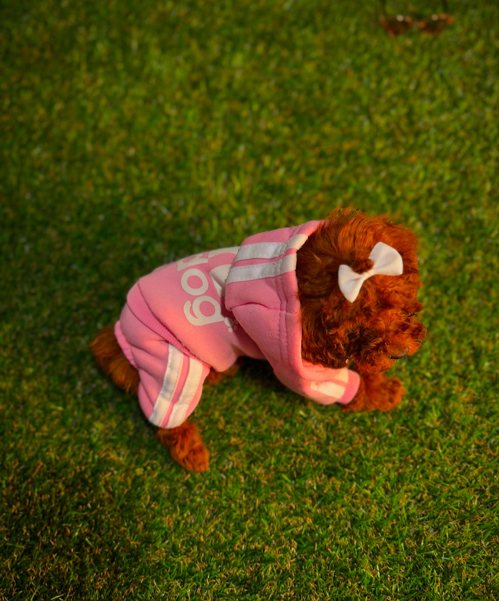 Thumbnail: Tiny Hope 