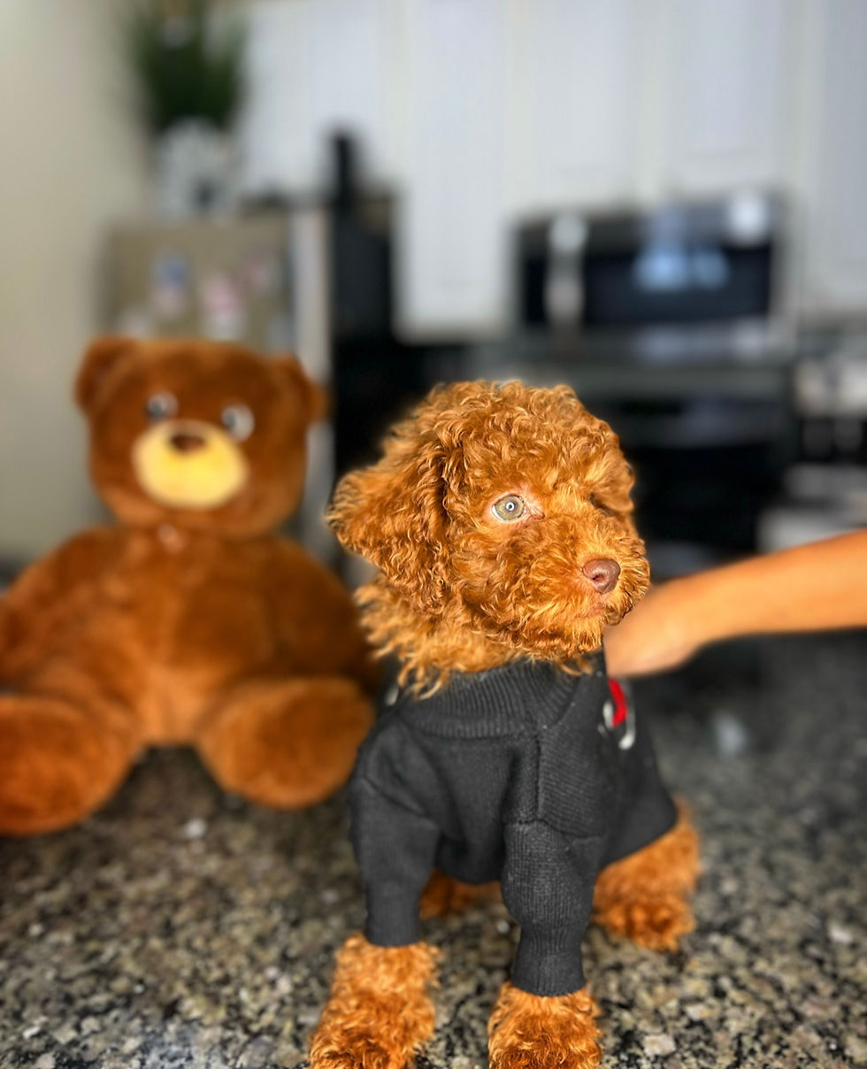 All Products Supreme Pups