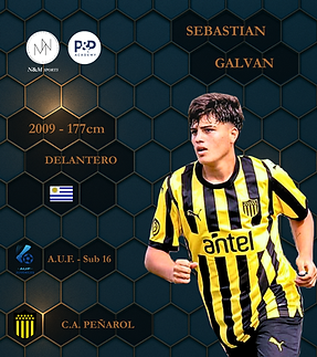 Sebastian Galvan.png