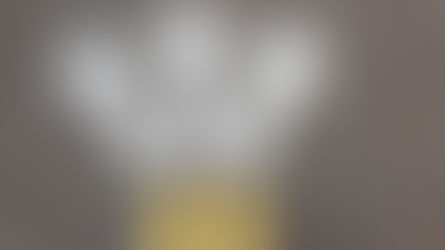     VEST Focus Guide for When You’re Pulled in Too Many Directions