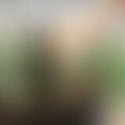 ブライダル新しいご提案の会合!