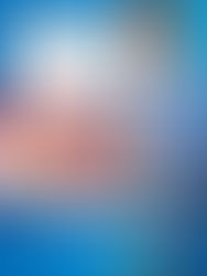 AfD-Anfrage deckt auf: