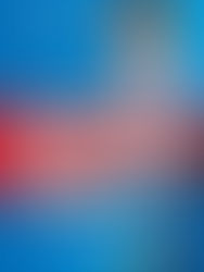 AfD-Fraktion durch politische Ausgrenzung nicht mehr im Kuratorium des „Haus der Geschichte“ vertreten