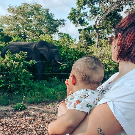 Come fare ad andare in Kenya in piena pandemia