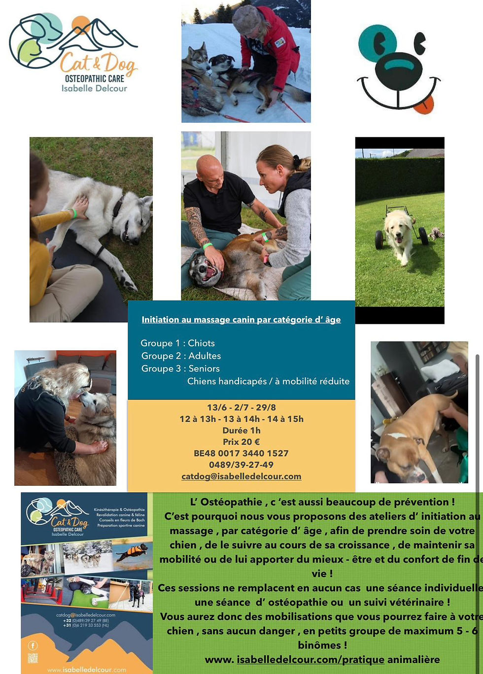 Atelier Massage Chiots