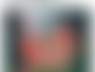 Dua Musim by Palguna 