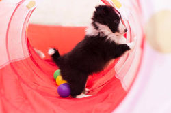 14716207_789513914484304_3123291247630220957_n