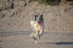 Azulian Fantasy of my Dreams