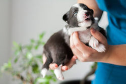 14446194_774237286011967_5468147771857249165_n