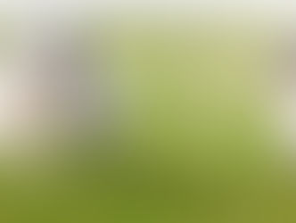 Ultimo día de juegos <3 (A-Litter)