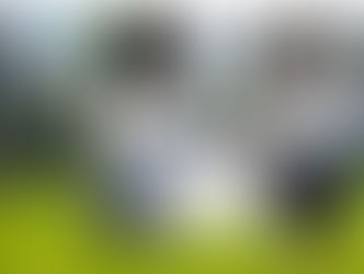 ¡Esperamos cachorros! :)