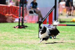 Azulian Be My Forever