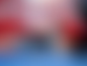 Martorell Dog Show 10/01/2015