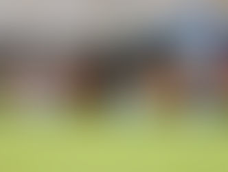 Mallorca de Mallorca Dog Show Results