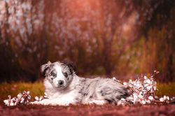 Azulian Don't Stop Dreaming