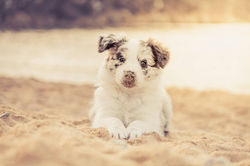 Azulian Don't Stop Dreaming