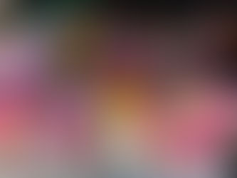 The Rutland Garden Club is committed to outreach into the community. This spring we brightened our senior neighbors' days with two lively events!