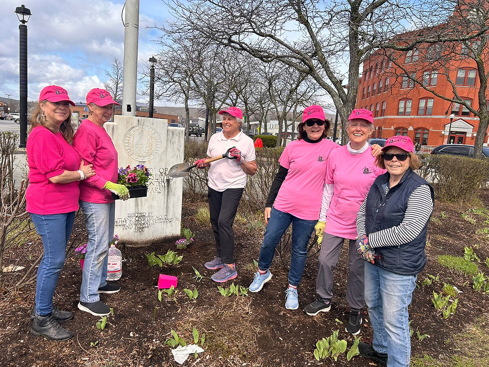 Last year we began a new tradition - as a spring transition, we added pansies to the flower boxes, after the winter greens were gone by.