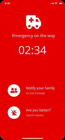 iPhone 11 Pro Max - 3.png
