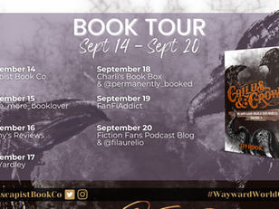 Book Tour Q&A: Callus & Crow by DB Rook