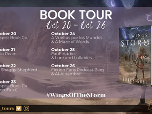 Book Tour Q&A: Wings of the Storm by Aaron Bunce & Christopher Guhl