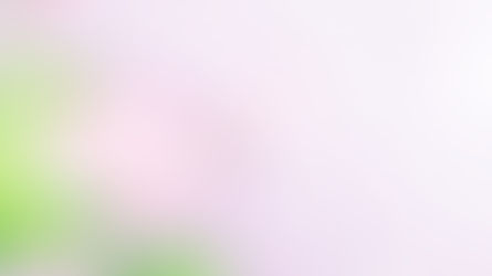 ヴィパッサナー冥想で自我の錯覚を破る