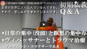 日常の集中(没頭)と瞑想の集中力/ヴィパッサナーとトラウマ治療