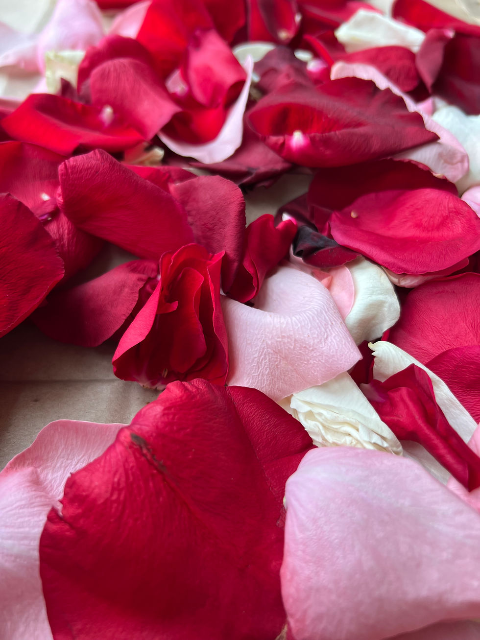 Rituál Menarche pro dospělé Ženy 