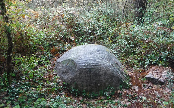DSCF0638.JPG