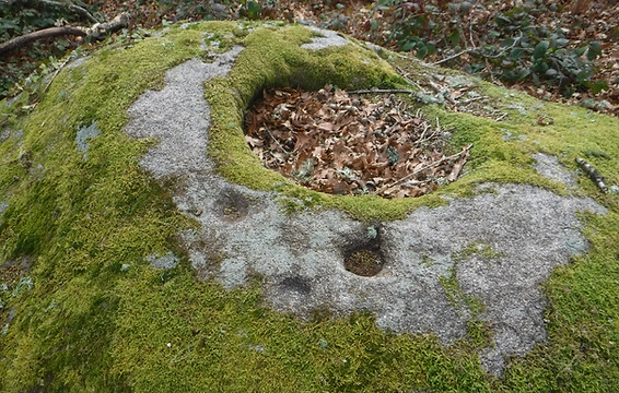 DSCF8675.JPG