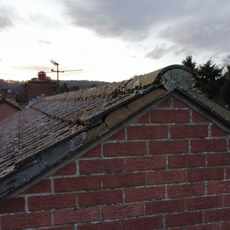 Survey of residential roof and chimney condition