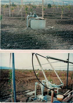 Irrigazione 3.JPG