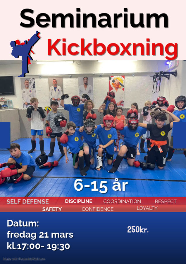 kickboxning seminarium 2025
