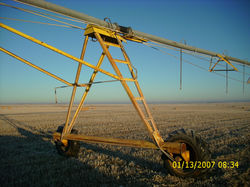 DSCI0086