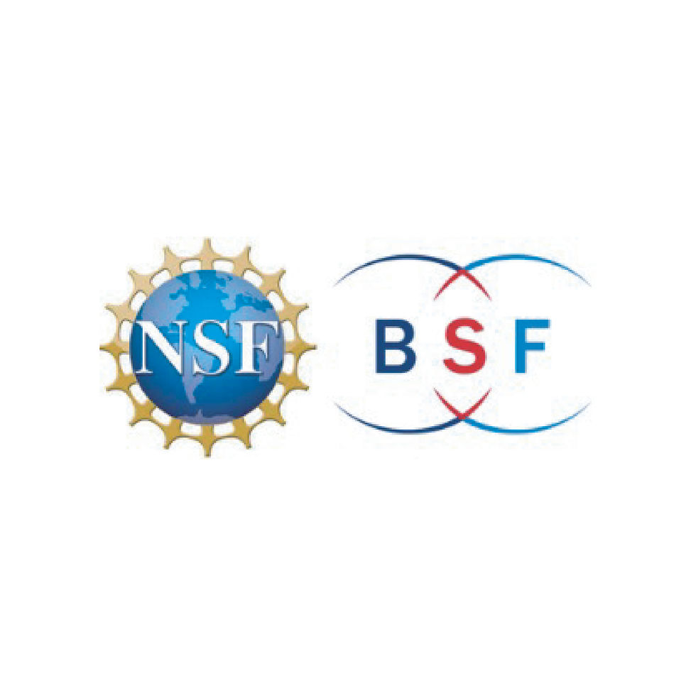 BSF And NSF Grant
