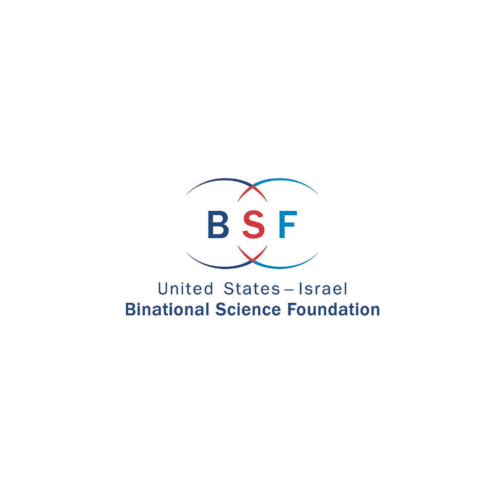 BSF GRANT