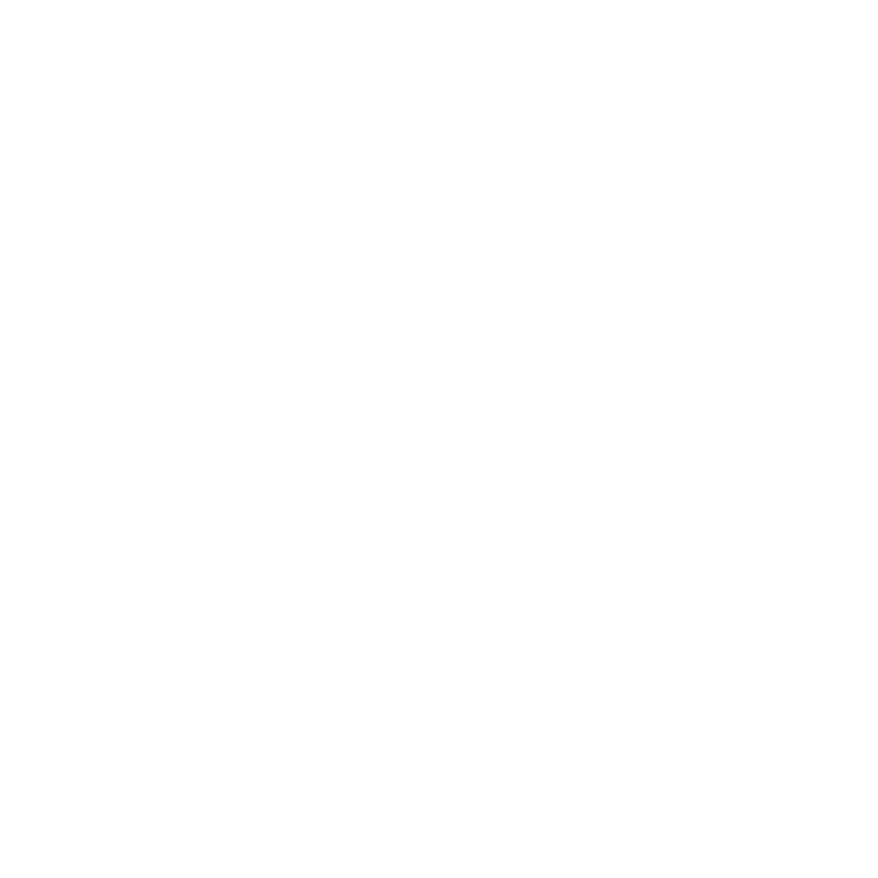 LOGOS FOR WEBSITE-06.png