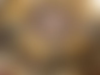 Free State Museum Day!