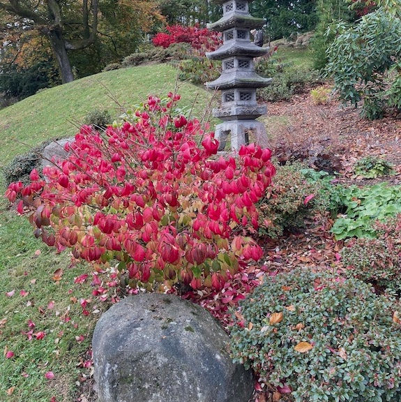 Stone pagoda with autumnal coloured leaves