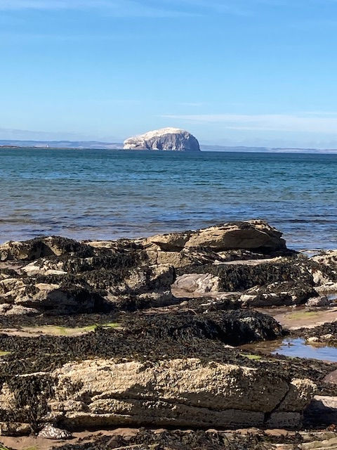 the Bass rock