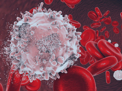 Leucemia em debate: tudo o que vale considerar nesta jornada terapêutica