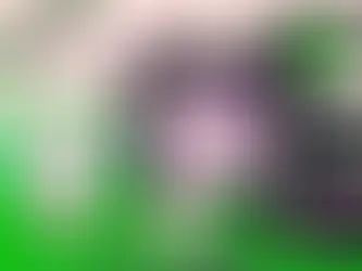 What Is the Future of AI?