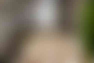 Breakfast buffet setup indoors focused on individual yogurt servings