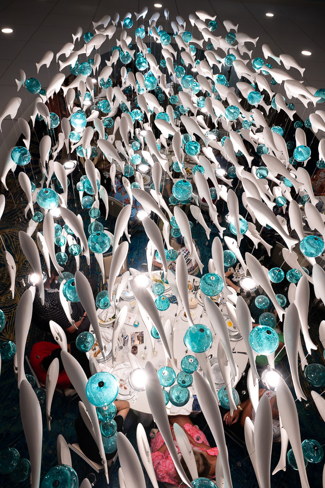 a school of fish is flying above the lunch table