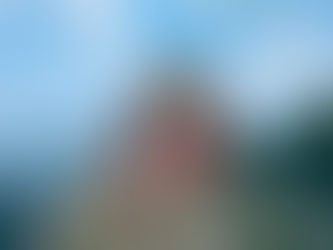 Why You Should Book a Group Tour for the Ha Giang Loop