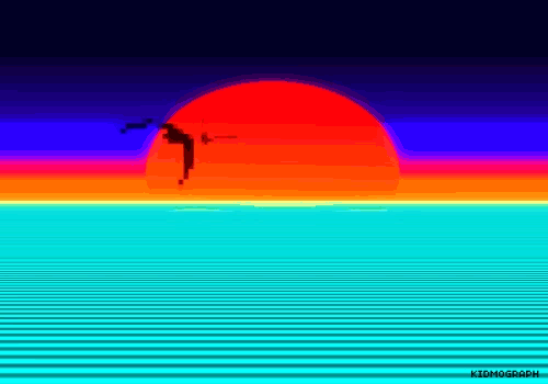 Gaviota 1