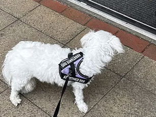 Blog Post: I Was Discriminated Against at Cook in Market Harborough — Here’s Why That Matters